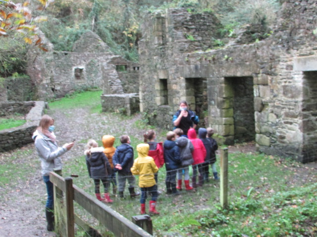 Dans la Vallée du Moulin de la Mer à Matignon